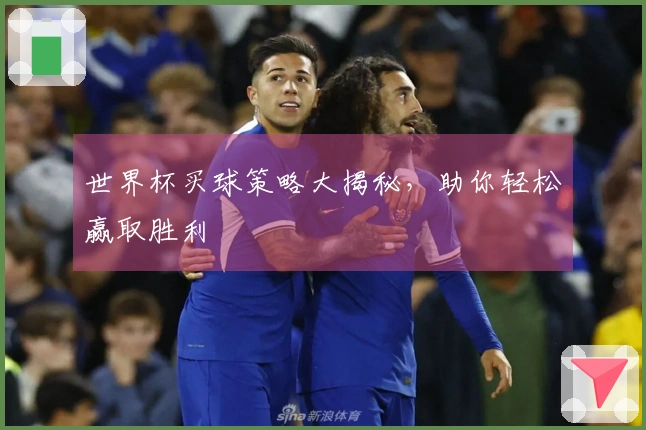 世界杯买球策略大揭秘，助你轻松赢取胜利