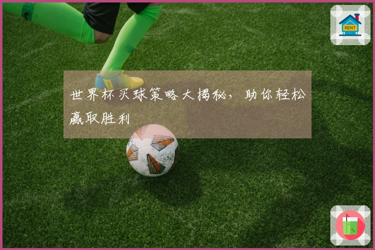 世界杯买球策略大揭秘，助你轻松赢取胜利