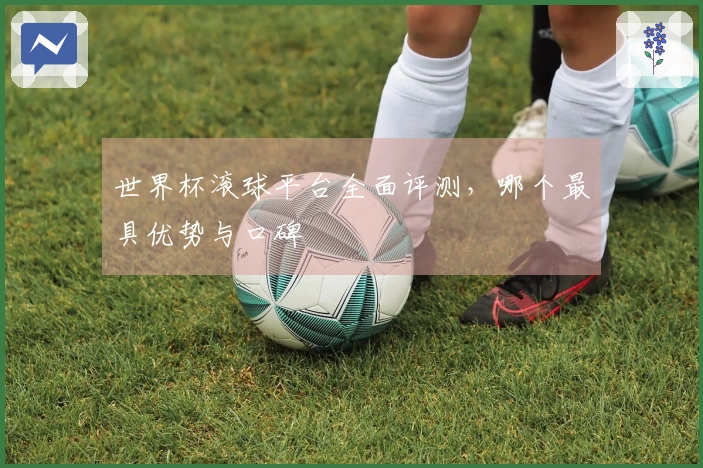 世界杯滚球平台全面评测，哪个最具优势与口碑