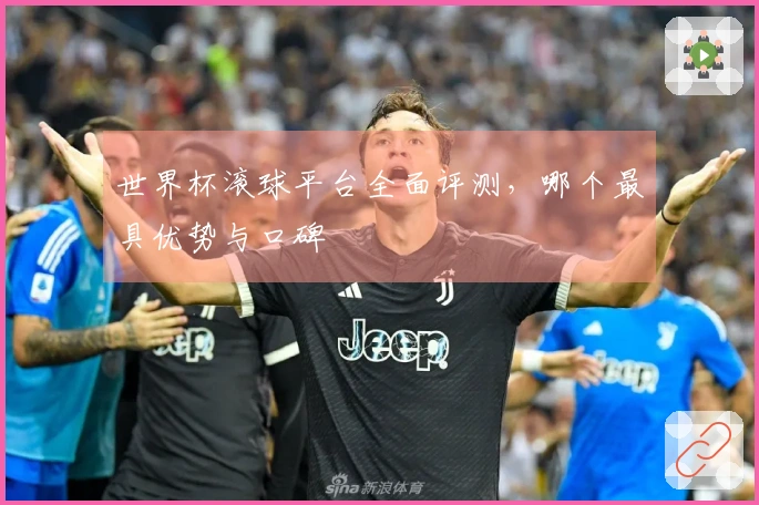 世界杯滚球平台全面评测，哪个最具优势与口碑
