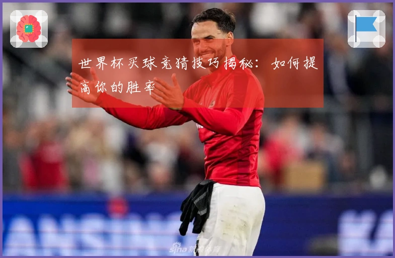 世界杯买球竞猜技巧揭秘：如何提高你的胜率