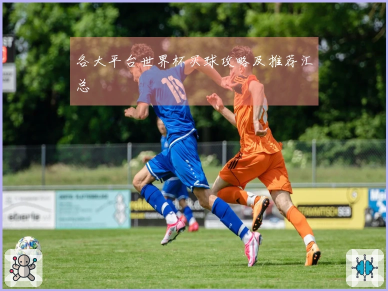 各大平台世界杯买球攻略及推荐汇总